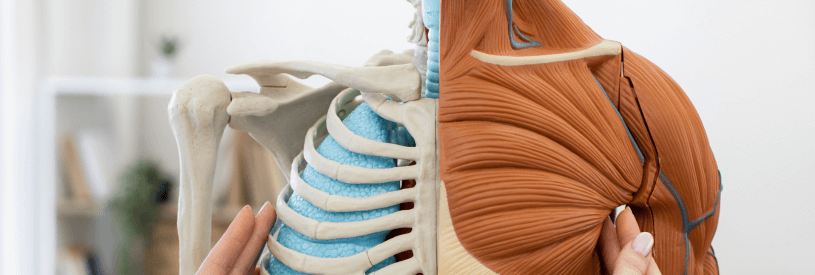 What is Shoulder Impingement?